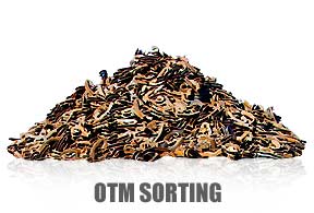 Rail Service Group - OTM Sorting
